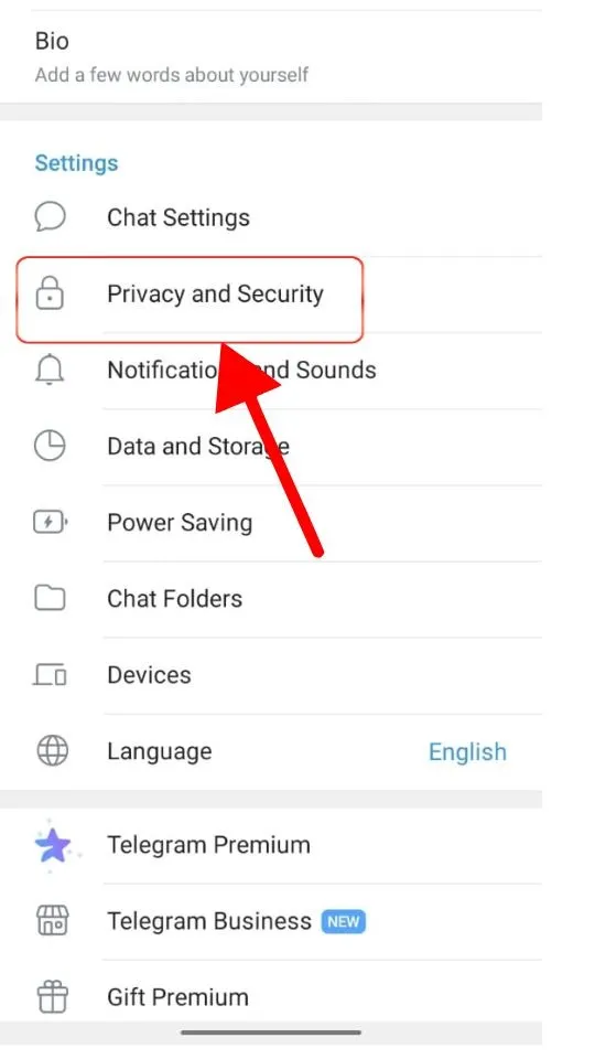 Privacy and Security in Telegram Settings