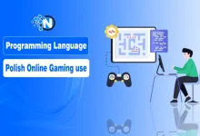 What Programming Language do Polish Online Gaming Use to Build their Platforms