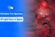 Cosmic Christmas Tree Spanning 80 Light-Years Found in Deep Space