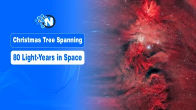 Cosmic Christmas Tree Spanning 80 Light-Years Found in Deep Space