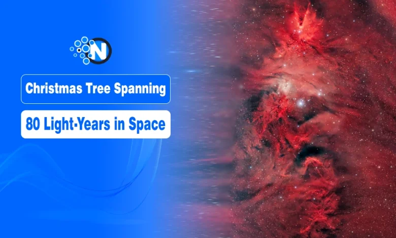 Cosmic Christmas Tree Spanning 80 Light-Years Found in Deep Space