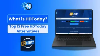 HDToday Alternatives