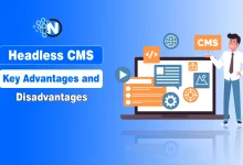 Headless CMS Advantages and Disadvantages
