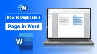 How to copy or Duplicate a Page in Word