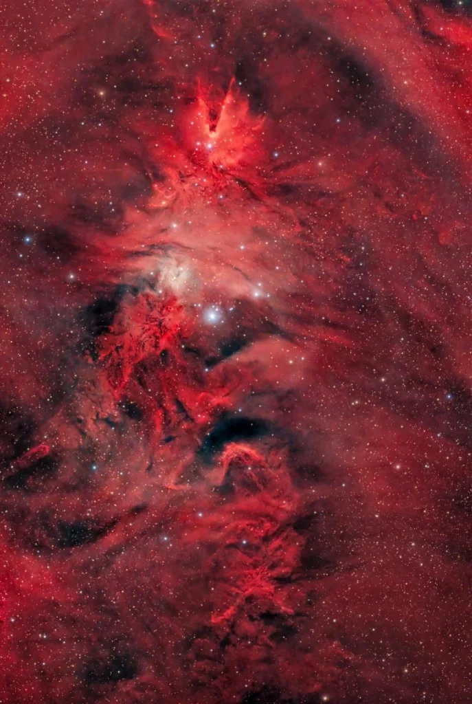 NGC Cosmic Christmas Tree | Source SciTechDaily