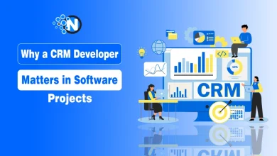 CRM Developer in Software Projects