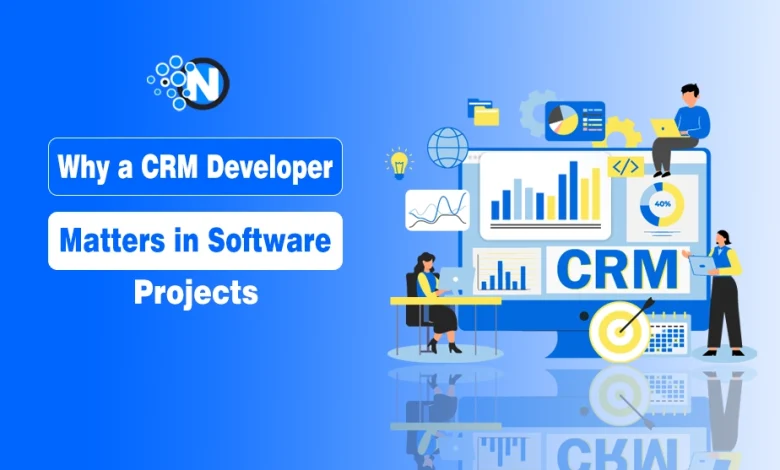 CRM Developer in Software Projects
