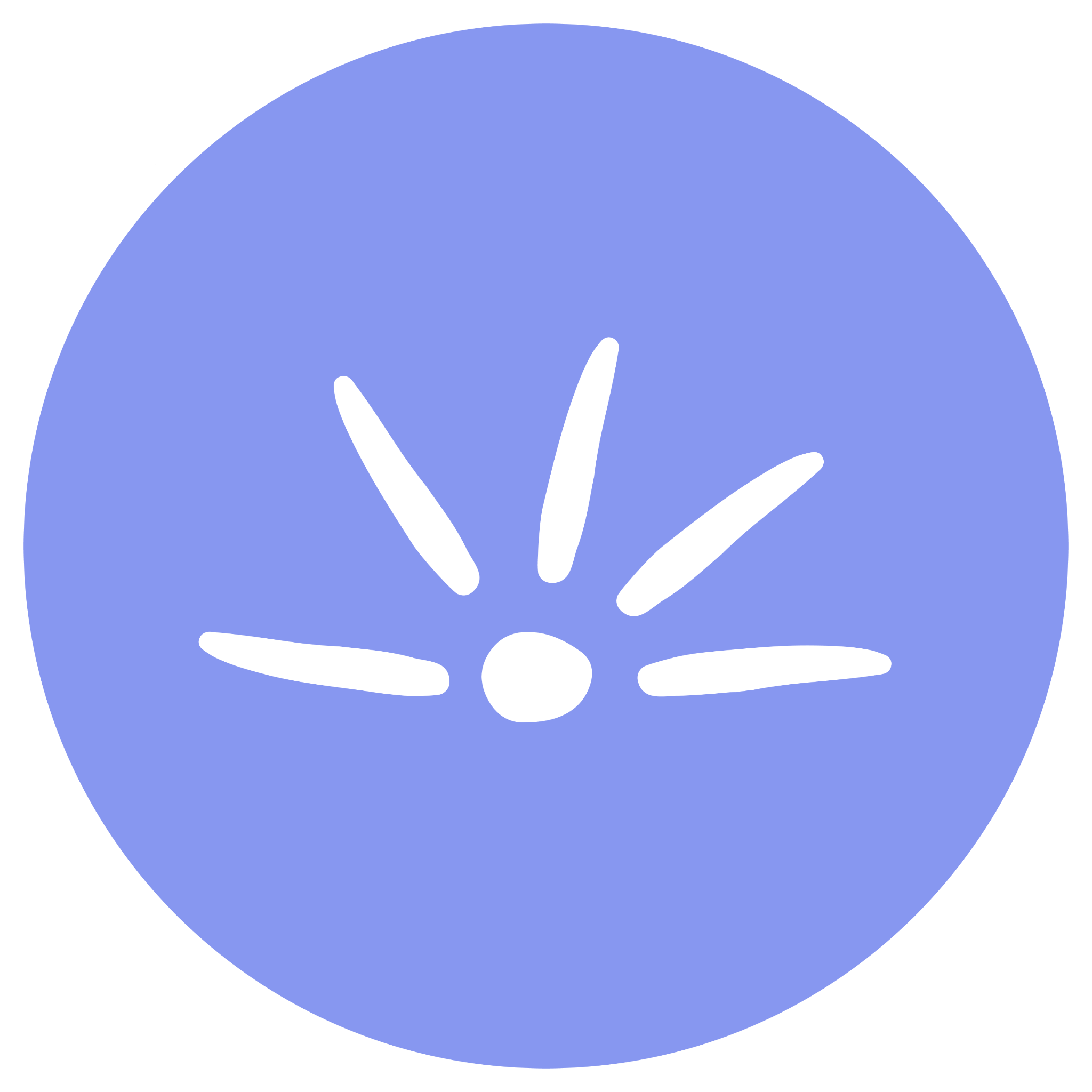 Brighterly K12 learning platform