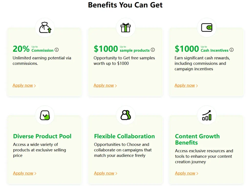 Benefits of Temu Influencer Program