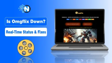 Omgflix real-time status check and safety troubleshooting guide.