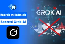 Malaysia and Indonesia Have Become the First Countries in the World to Block Grok