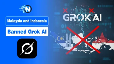 Malaysia and Indonesia Have Become the First Countries in the World to Block Grok