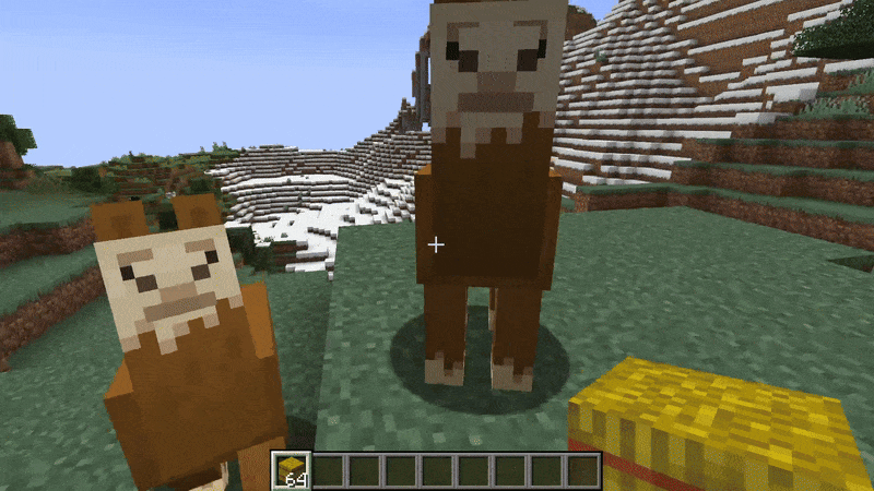 Breeding Llamas in Minecraft