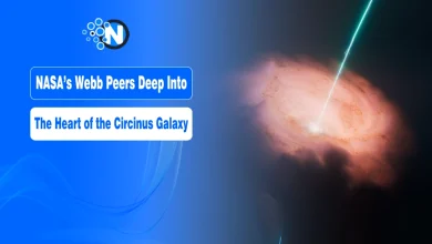 Circinus Galaxy