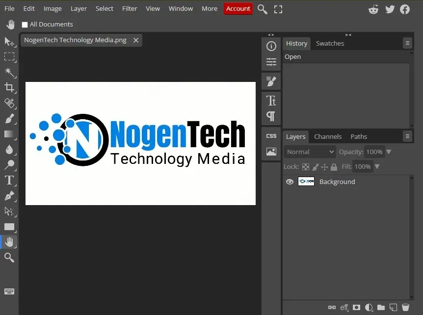Screenshot of Photopea Editing Panel by NogenTech