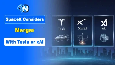 A digital network connecting the logos of SpaceX, Tesla, and xAI.