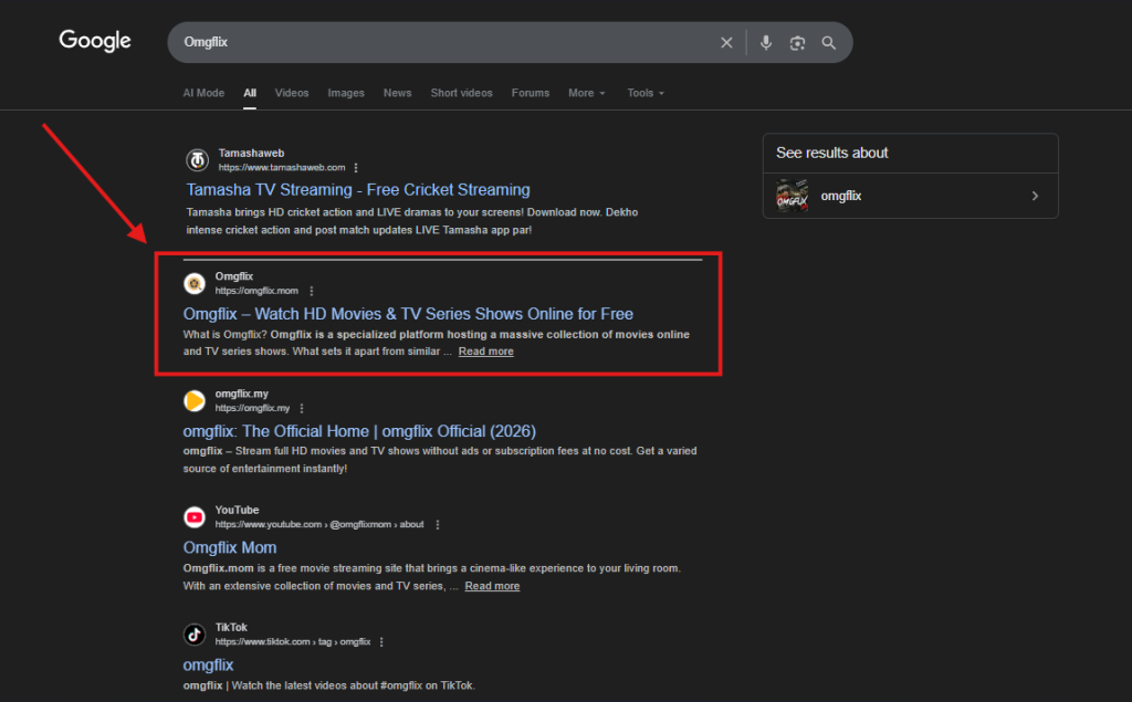 Step 2 to search omgflix in your chrome browser