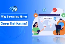 Why Streaming Mirrors Change Their Domains? Technical & Legal Reasons