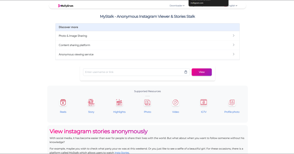 Screenshot of MyStalk Instagram Viewer display