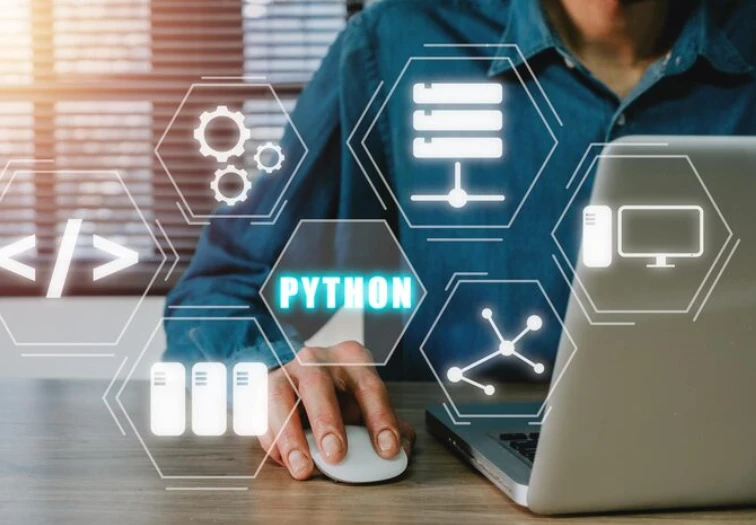 Custom Python Web Applications