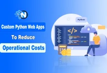Graphic with text “Custom Python Web Apps to Reduce Operational Costs,” showing a person on a beanbag using a laptop, a monitor with code, and icons of Python, security, calculator, and coins.