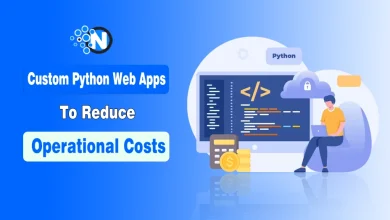 Graphic with text “Custom Python Web Apps to Reduce Operational Costs,” showing a person on a beanbag using a laptop, a monitor with code, and icons of Python, security, calculator, and coins.