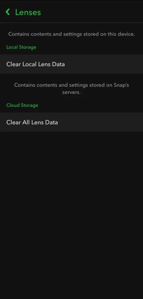 Snapchat Privacy Settings Lenses