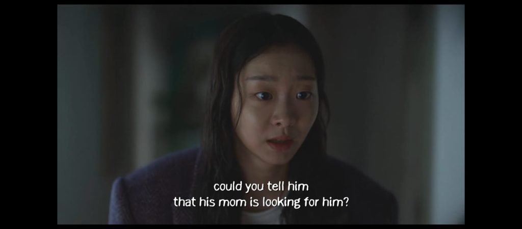 Multilanguage subtitle support at MovieBox