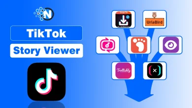 TikTok story viewer tools illustration showing SnapTik, Urlebird, Trollishly, and other anonymous TikTok story viewer platforms.