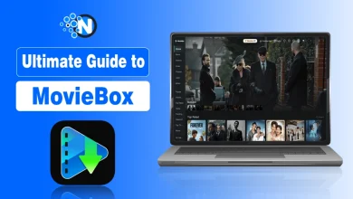 Ultimate Guide to Moviebox (Detailed Review, Use Cases, Advantages, Disadvantages)