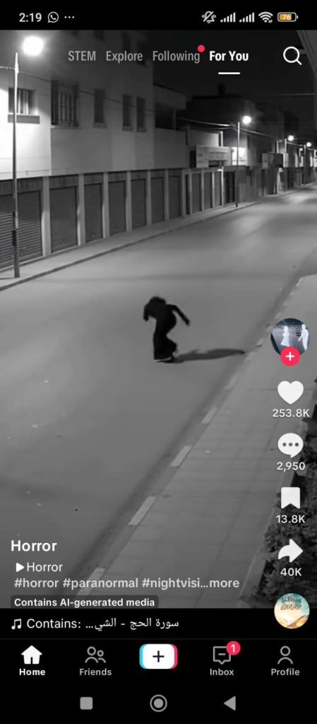 How the TikTok Interface Works