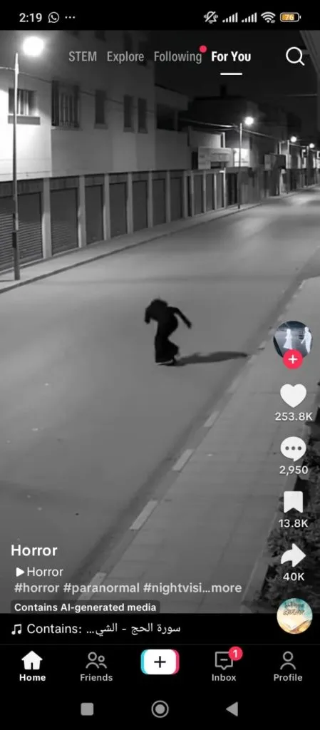 How the TikTok Interface Works