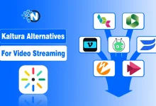 Kaltura Alternatives for Video Streaming