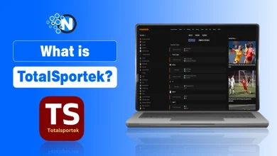 Ultimate Guide to TotalSportek: Complete Overview, Key Features, and Is It Safe?