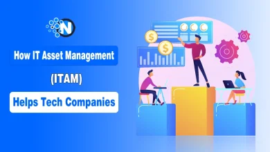 Illustration of T Asset Management (ITAM)