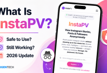InstaPV anonymous Instagram viewer homepage showing story viewing and profile browsing features