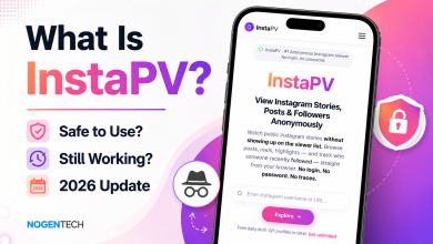 InstaPV anonymous Instagram viewer homepage showing story viewing and profile browsing features