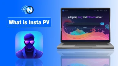 What is InstaPV anonymous Instagram viewer displayed on a laptop with an anonymous user illustration