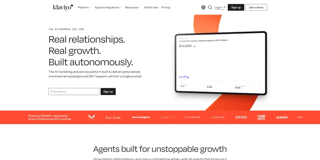 Home page screenshot of Klaviyo by NogenTech