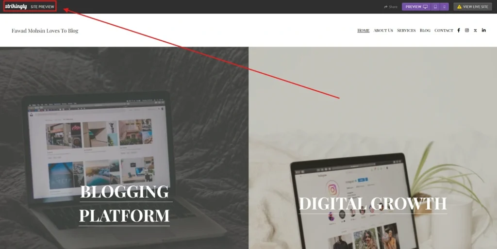Preview of website created on Strikingly