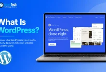 What Is WordPress introductory article banner for NogenTech.