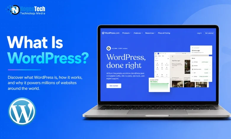 What Is WordPress introductory article banner for NogenTech.