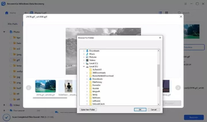 data found in scannning using recovergo