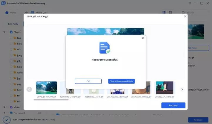 screenshot of data recovery completed using recovergo