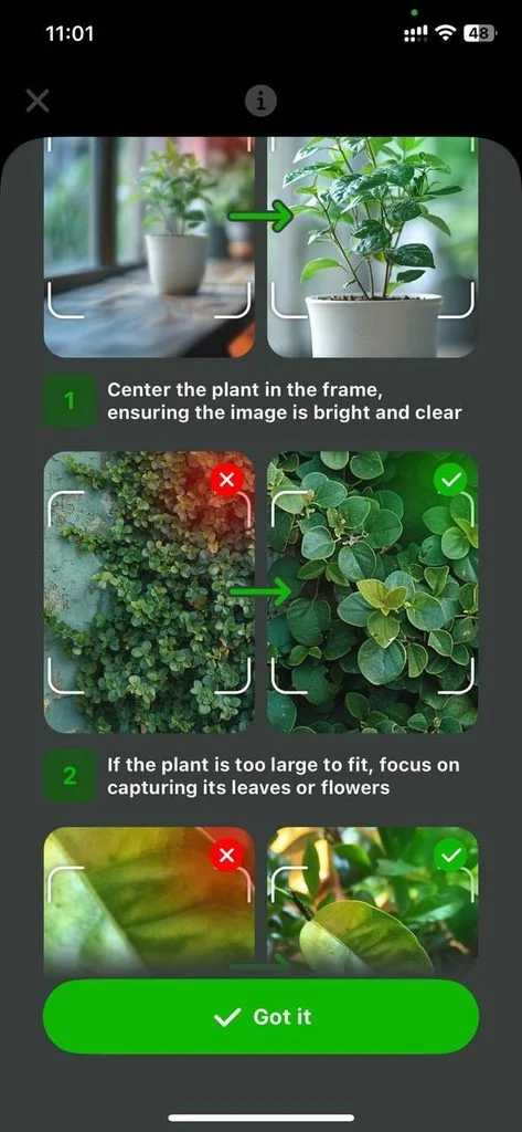 Better Plant Identification Results