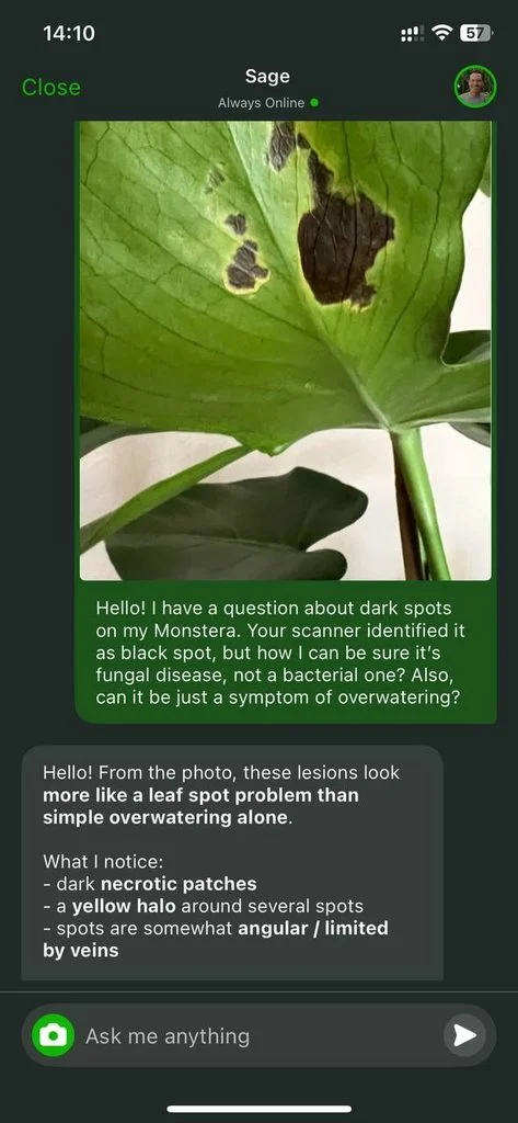 Botanist Chat