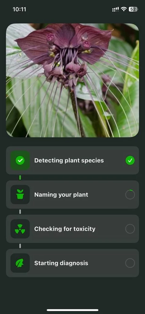Detecting plant species