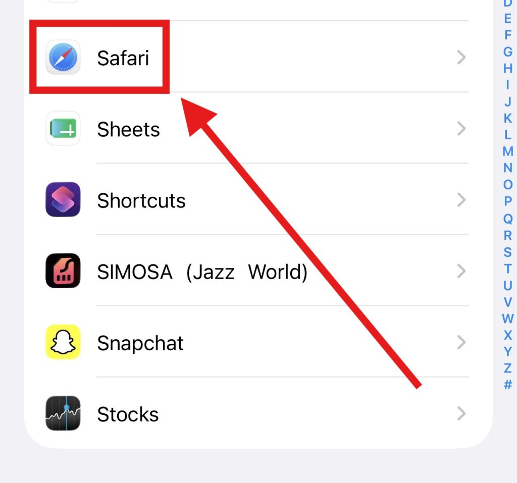 Screenshot of Safari in iPhone by NogenTech