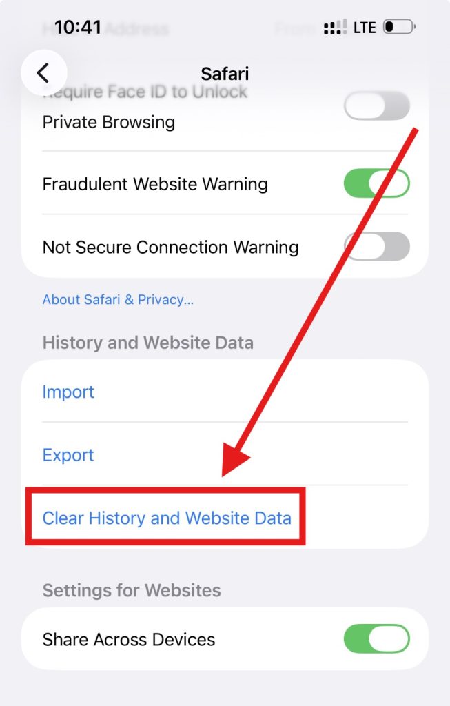 Screenshot of clear iPhone Safari browsing data by NogenTech