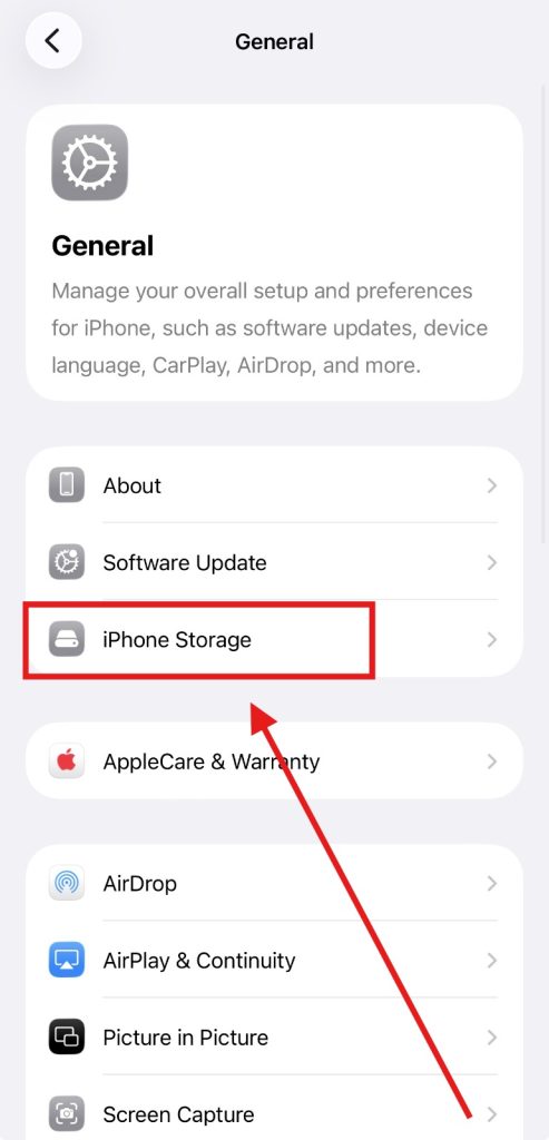 Screenshot of iPhone Storage option by NogenTech